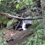 DSCN7104.JPG