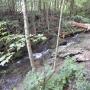 DSCN7107.JPG