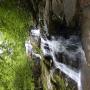 DSCN7114.JPG