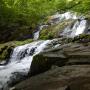 DSCN7118.JPG