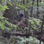DSCN7122.JPG