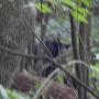 DSCN7123.JPG