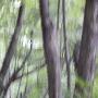 DSCN7125.JPG