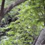 DSCN7126.JPG