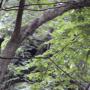 DSCN7127.JPG
