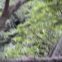 DSCN7128.JPG