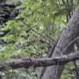 DSCN7129.JPG