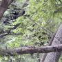 DSCN7131.JPG