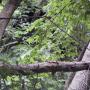 DSCN7132.JPG