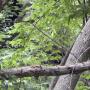 DSCN7135.JPG