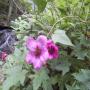 DSCN7143.JPG