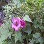 DSCN7144.JPG