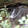 DSCN7145.JPG