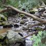 DSCN7146.JPG