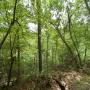 DSCN7150.JPG