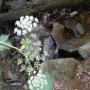 DSCN7153.JPG