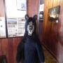 DSCN7175.JPG