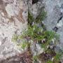 DSCN7233.JPG