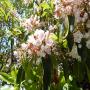 DSCN7259.JPG