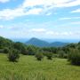 DSCN7264.JPG