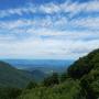 DSCN7272.JPG