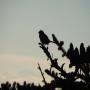 DSCN7289.JPG