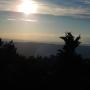 DSCN7291.JPG