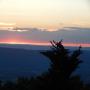 DSCN7338.JPG