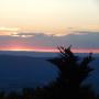DSCN7339.JPG