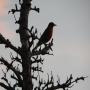 DSCN7369.JPG