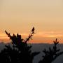 DSCN7379.JPG