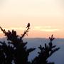 DSCN7380.JPG