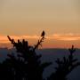 DSCN7381.JPG