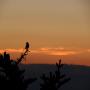 DSCN7382.JPG