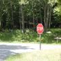 DSCN7433.JPG