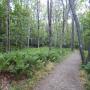 DSCN7439.JPG