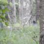 DSCN7442.JPG