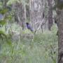 DSCN7443.JPG