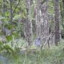 DSCN7445.JPG