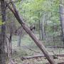 DSCN7448.JPG