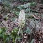 DSCN7449.JPG