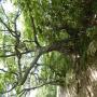 DSCN7453.JPG