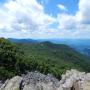 DSCN7461.JPG