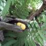 DSCN7489.JPG
