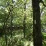 DSCN7491.JPG