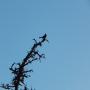 DSCN7517.JPG