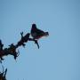 DSCN7523.JPG