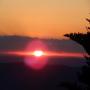 DSCN7555.JPG