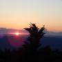 DSCN7558.JPG