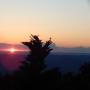 DSCN7559.JPG